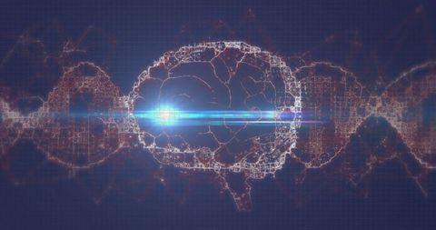 Glowing Brain in Digital Interface with DNA and Circuits