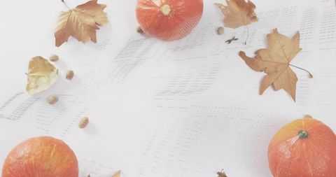 Displaying Mini Orange Pumpkins on White Eyelet Cloth with Dried Maple Leaves and Seeds