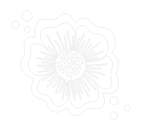 Minimalist White Floral Artwork on Transparent Background - Download Free Stock Videos Pikwizard.com