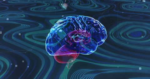 Futuristic Transparent Brain with Dynamic Light Effects - Download Free Stock Images Pikwizard.com