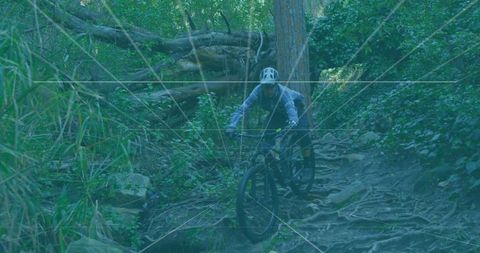 Riding mountain bike down rooty singletrack through dense woodland wearing white helmet