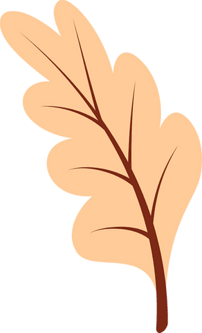 Stylized Peach Oak Leaf on Transparent Background for Design and Decor - Download Free Stock Videos Pikwizard.com