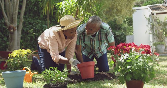 Happy senior african american couple planting flowers in garden. Senior lifestyle, gardening, nature, hobby and domestic life.