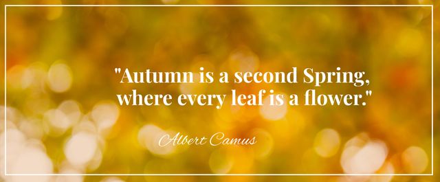 Inspirational Autumn Quote Against Blurred Fall Background - Download Free Stock Templates Pikwizard.com