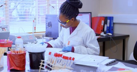 Young Laboratory Technician Reviewing Documents in Blood Bank - Download Free Stock Images Pikwizard.com