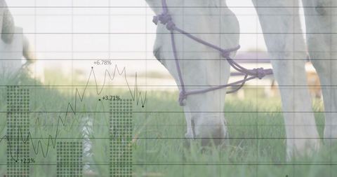 White Horse Grazing with Business Chart Overlay in Pasture