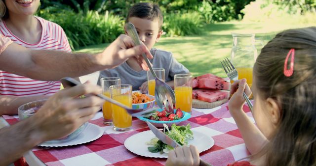 Family Enjoying Outdoor Picnic with Healthy Food - Download Free Stock Images Pikwizard.com