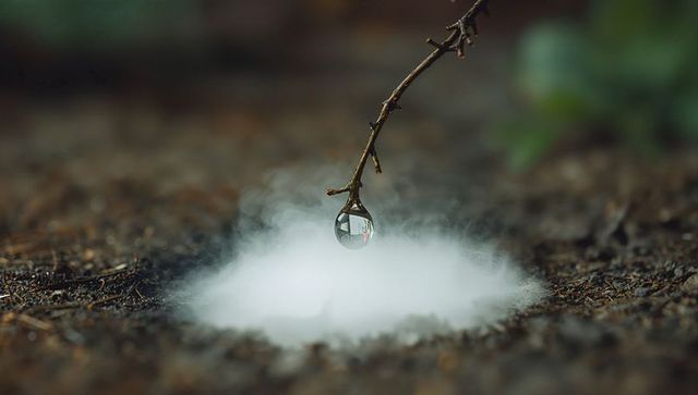 Morning dew droplet hanging from twig above misty forest floor