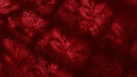 Rich red brocade damask textile showing embossed floral motifs and luxurious woven texture