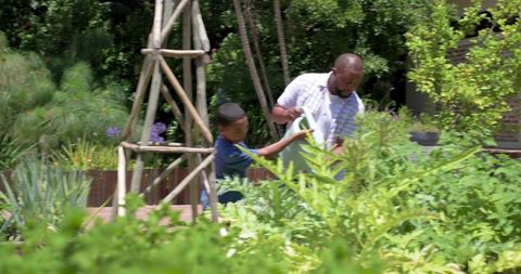 African american father teaching son gardening in sunny backyard with watering can