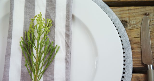 Elegant Table Setting with White Plate and Branch Decor - Download Free Stock Images Pikwizard.com