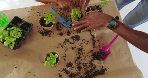 Father and Daughter Enjoy Planting Seedlings Together at Home