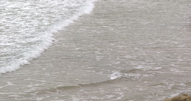 Gentle Waves on Sandy Beach Shoreline - Download Free Stock Images Pikwizard.com