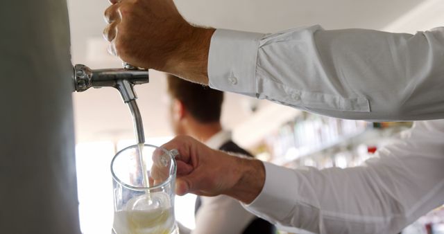 Bartender Pouring Draft Beer in Pub - Download Free Stock Images Pikwizard.com