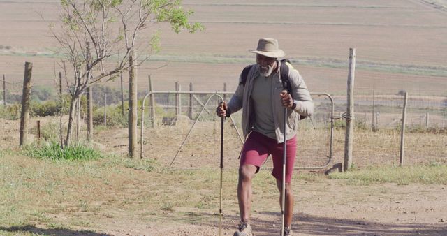 Senior african american man walking with backpack and trekking sticks on sunny day. Hiking, nature and lifestyle concept.