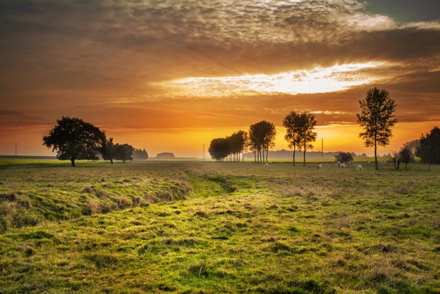 Serene Sunrise Over Peaceful Countryside Landscape - Download Free Stock Photos Pikwizard.com
