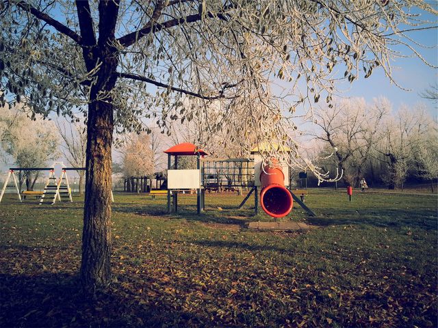Frost-covered playground with a tree in the foreground, boasting a red slide and swings, set on a cold winter day. Ideal for content on outdoor activities during winter, seasonal changes, childhood, and nature’s beauty during the colder months.
