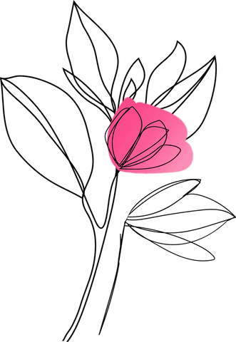minimalist line art floral illustration with pink bloom - Download Free Stock Videos Pikwizard.com
