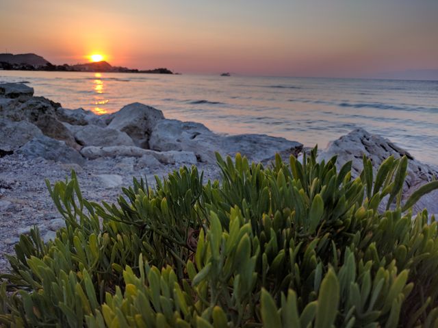 Serene Beach Sunset with Rocky Shore and Vegetation in Foreground - Download Free Stock Images Pikwizard.com