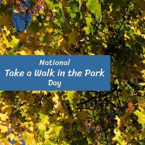 Composition of national take a walk in the park day text over leaves on ...