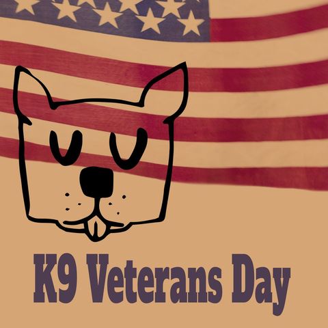 K9 Veterans Day Celebration Design with USA Flag Background - Download Free Stock Templates Pikwizard.com