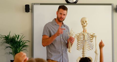 Male teacher explaining skeleton model to attentive students in classroom