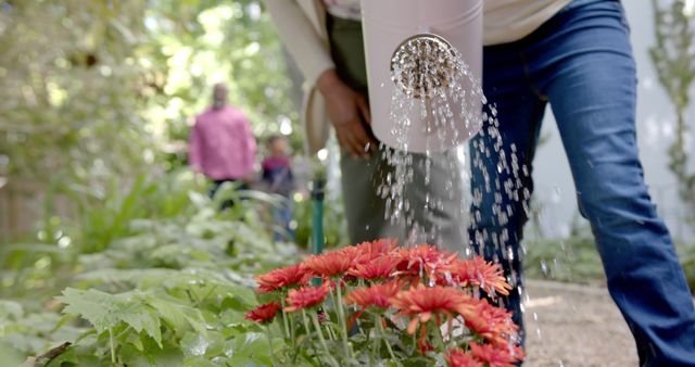 Person Watering Vibrant Garden Flowers on a Sunny Day - Download Free Stock Images Pikwizard.com