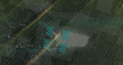 Aerial view of orchard rows with drone telemetry overlay