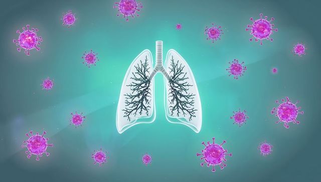 Visualizing translucent lungs with bronchial tree surrounded by magenta virus particles