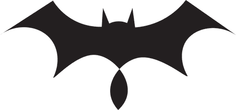 Abstract Bat Icon Silhouette on Transparent Background - Download Free Stock Videos Pikwizard.com