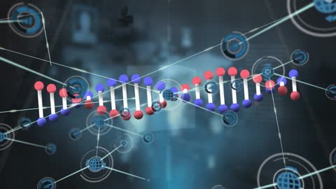 Digital Interface with DNA Strand and Network Connections