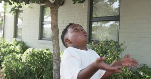 Boy reaching upward outdoors near tree and trimmed hedges enjoying sunny backyard moment