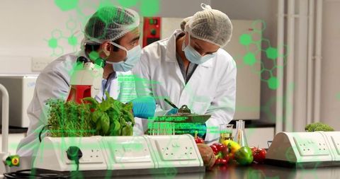 Scientists conducting biotech research with fresh produce in laboratory