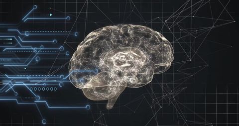 Futuristic Brain and Data Processing Tech Interface - Download Free Stock Images Pikwizard.com