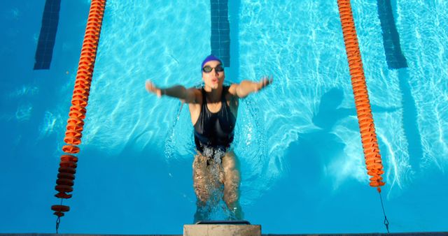 Female Swimmer Diving Into Pool for Competition - Download Free Stock Photos Pikwizard.com