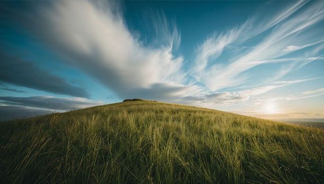 Swaying tall grass leading to grassy crest at sunset with dramatic streaking clouds