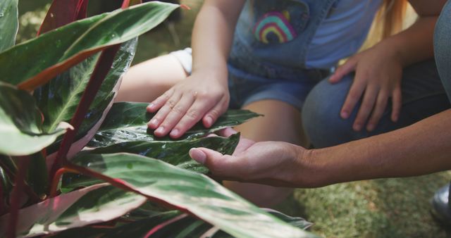 Child and Adult Bonding While Gardening with Tropical Plants - Download Free Stock Images Pikwizard.com