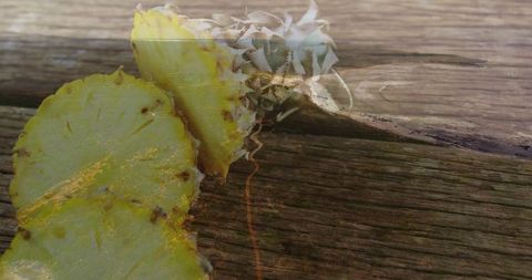 Sliced Pineapple and Crown on Sunlit Wooden Deck