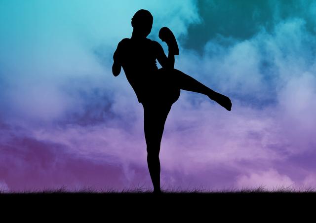 Silhouette of a woman practicing kickboxing against a vibrant, colorful sky. Ideal for use in fitness and health promotions, martial arts training materials, motivational posters, and outdoor activity advertisements.