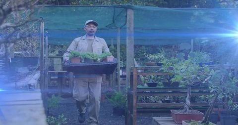 Nursery gardener walking carrying tray of seedlings and potted bonsai in khaki uniform
