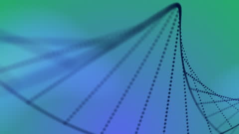 Digital Animation of Rotating DNA Strand