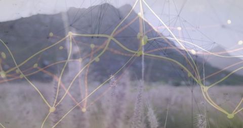Network Graph Overlay with Mountain Meadow Backdrop