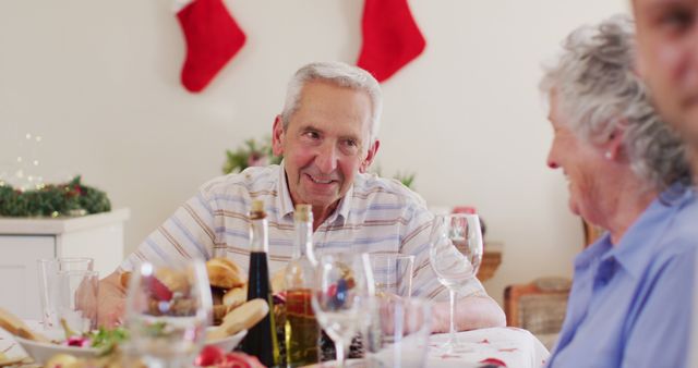 Happy seniors enjoying Christmas dinner at home - Download Free Stock Images Pikwizard.com