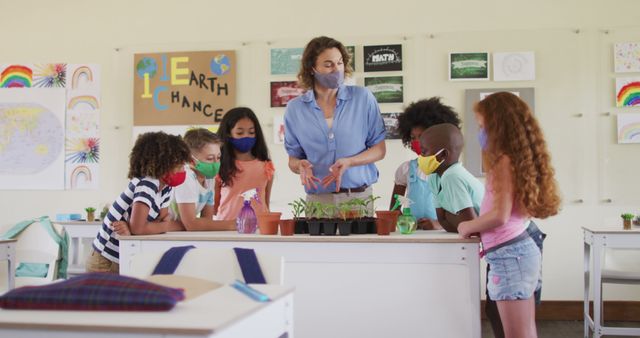 Teacher Guiding Students in Planting Activity in Classroom - Download Free Stock Images Pikwizard.com