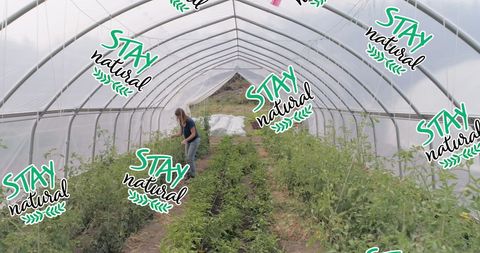 Caucasian Woman Gardening in Greenhouse with Stay Natural Text Overlay