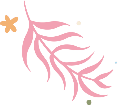 Minimalist pink leaf branch with transparent background design