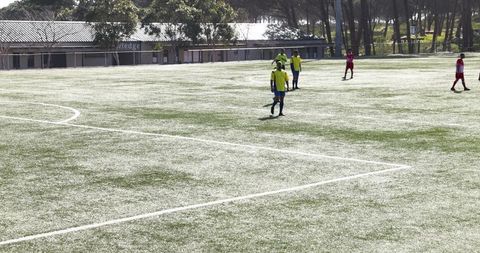Youth Soccer Players Celebrating Goal on Sunny Field