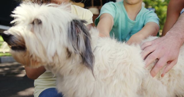 A fluffy white dog is being petted by multiple people, with copy space. Their hands suggest a diverse group enjoying a moment of bonding with a pet outdoors.