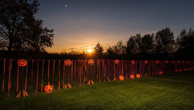 Halloween Pumpkins Illuminating Evening Lawn with Streamers