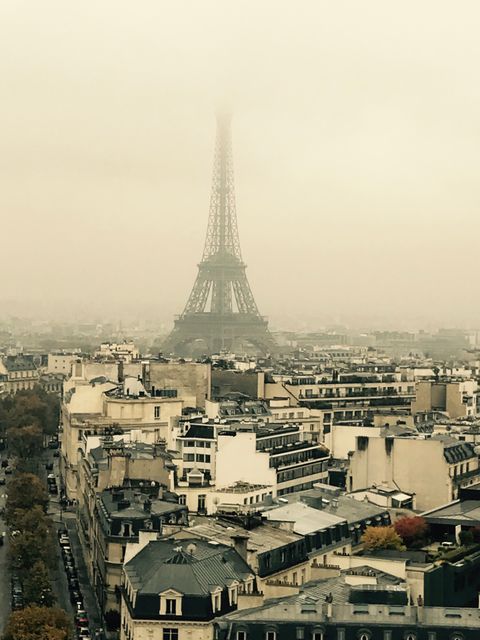 Misty Morning View of Eiffel Tower Over Paris Cityscape - Download Free Stock Photos Pikwizard.com